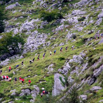 Carrera en Bizkaia.ConcursoSalomon